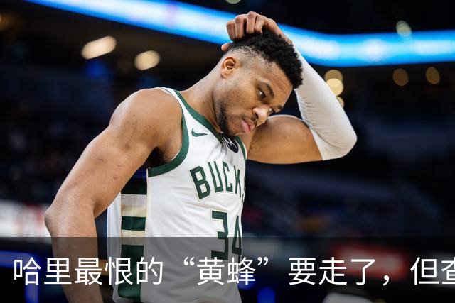 哈里最恨的“黄蜂”要走了，但查尔斯没打算让步